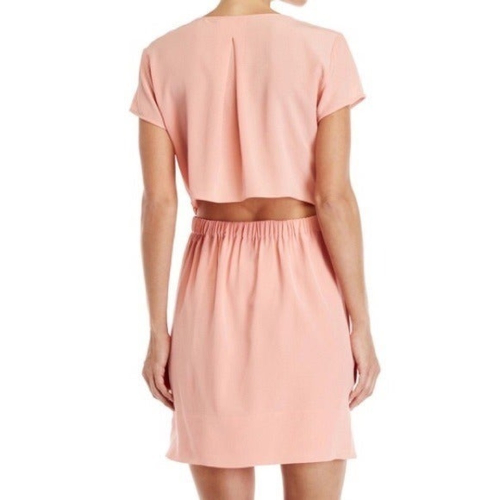 Club Monaco Pink Silk Dress sz 4